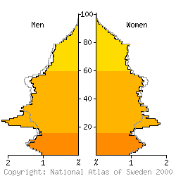 [Age-sex pyramid 1998 for Link�ping municipality]