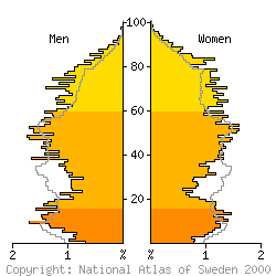 [Age-sex pyramid 1998 for Borgholm municipality]