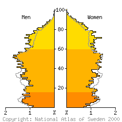 [Age-sex pyramid 1998 for Ystad municipality]