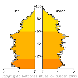 [Age-sex pyramid 1998 for �ngelholm municipality]