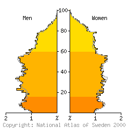 [Age-sex pyramid 1998 for Halmstad municipality]