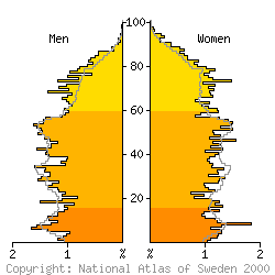 [Age-sex pyramid 1998 for �rj�ng municipality]