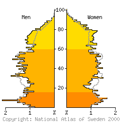[Age-sex pyramid 1998 for Sunne municipality]