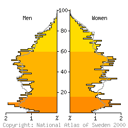 [Age-sex pyramid 1998 for Surahammar municipality]