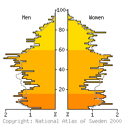 [Age-sex pyramid 1998 for Norberg municipality]