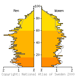 [Age-sex pyramid 1998 for Fagersta municipality]