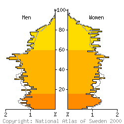 [Age-sex pyramid 1998 for Malung municipality]