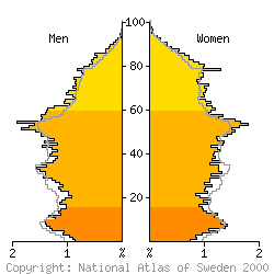 [Age-sex pyramid 1998 for Sandviken municipality]