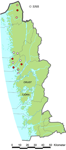 Karta ver Bohuskusten - Granitindustrin 1909