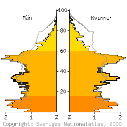 [Befolkningspyramid 1998 f�r H�bo kommun]