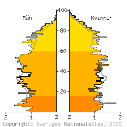 [Befolkningspyramid 1998 f�r �rj�ng kommun]